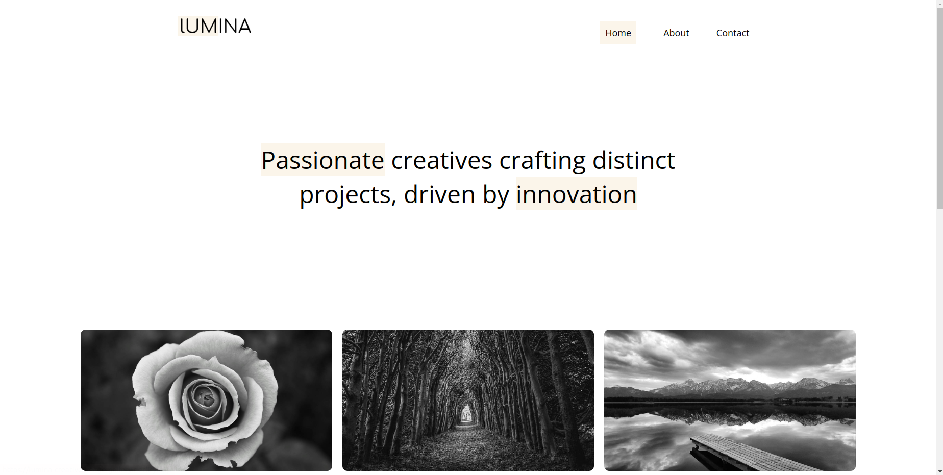 Image Gallery